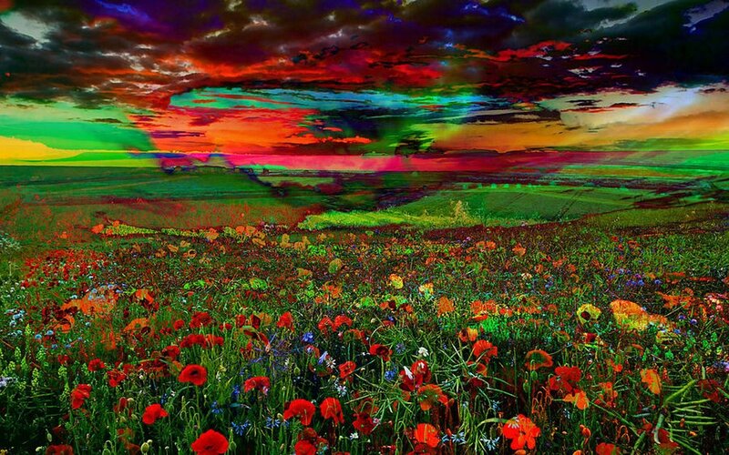 Poppy Field at Sunset — Red, Dramatic, Digital Art