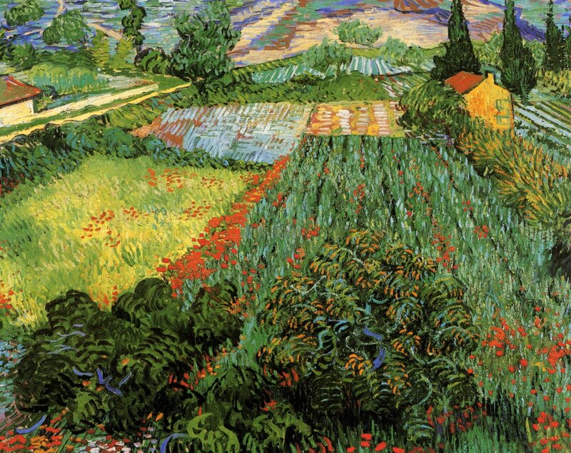 Poppy Field Landscape — Green