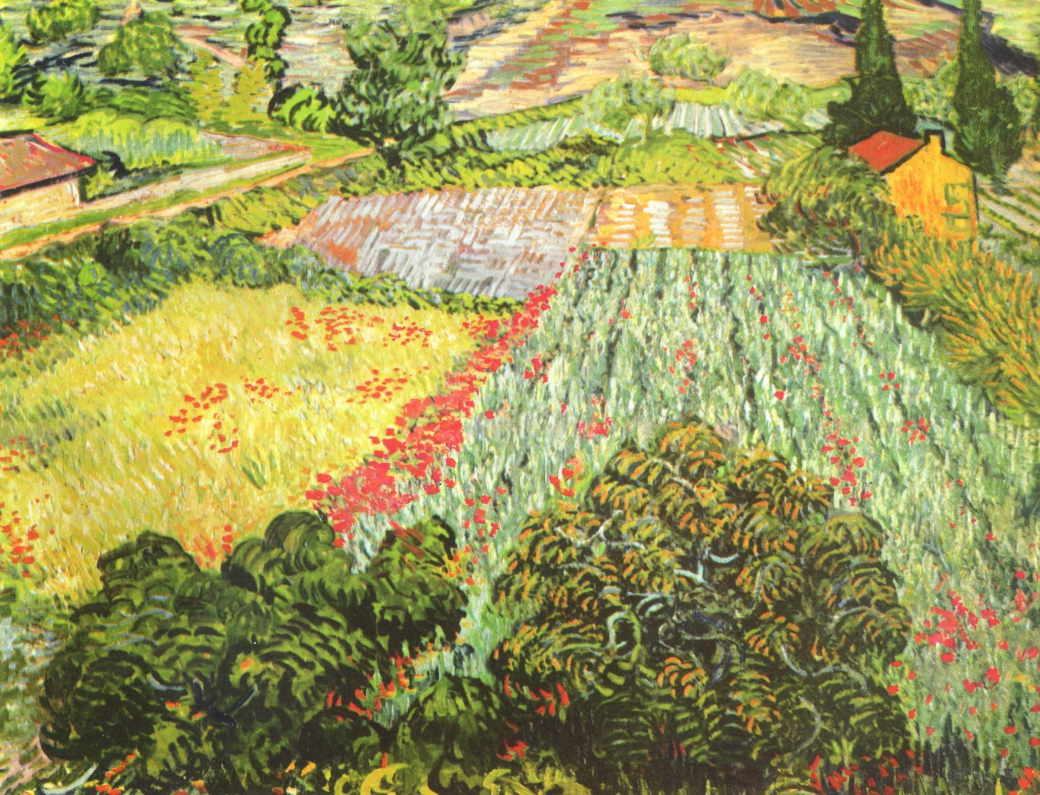 Poppy Field Landscape