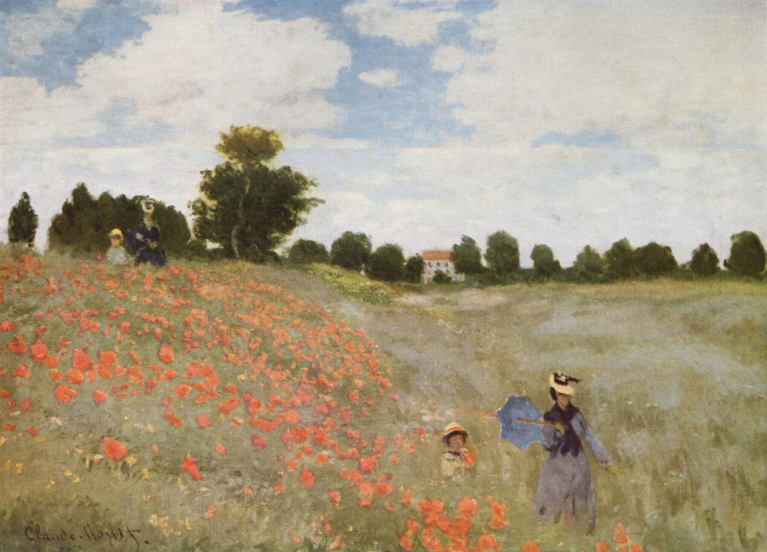 Poppy Field Walk