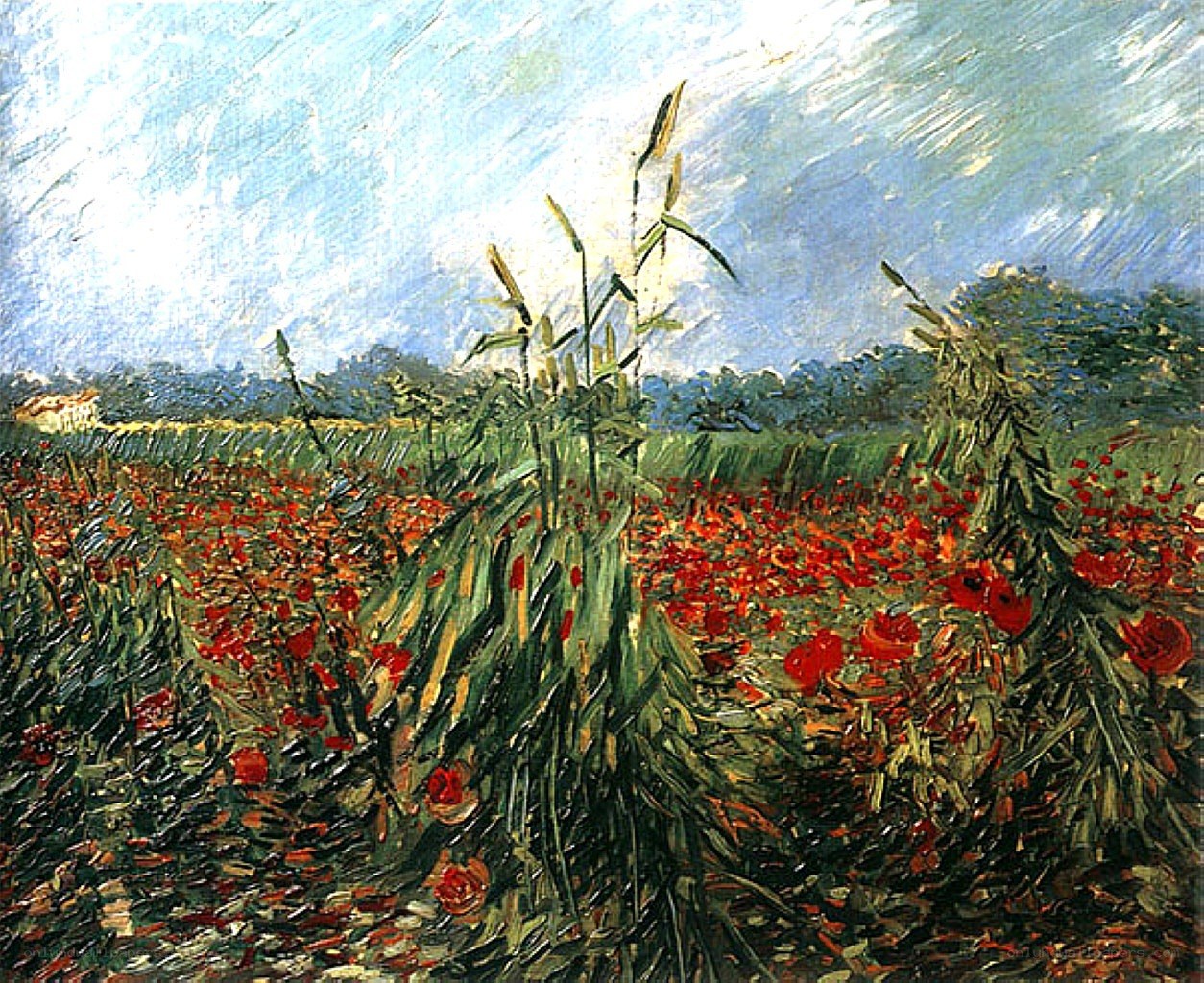Poppy Field with Corn Stalks