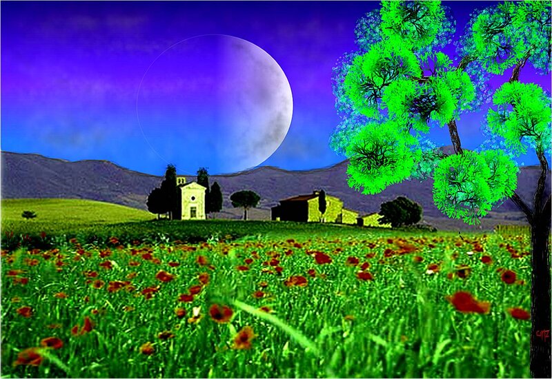 Poppy Field with Moon