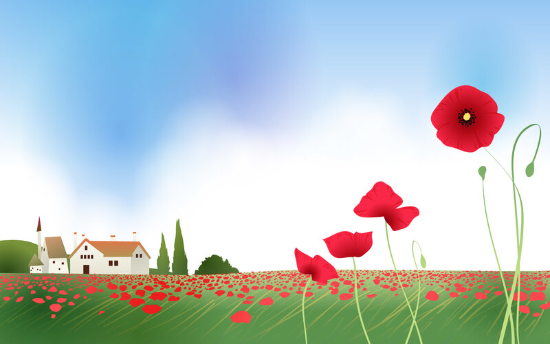 Poppy field with village