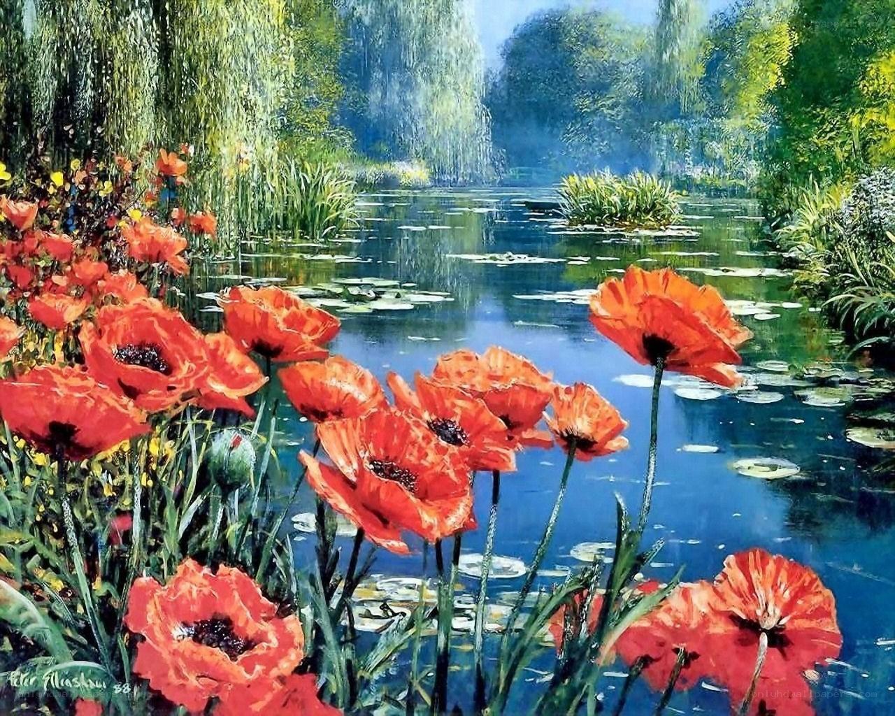 Poppy garden by the pond