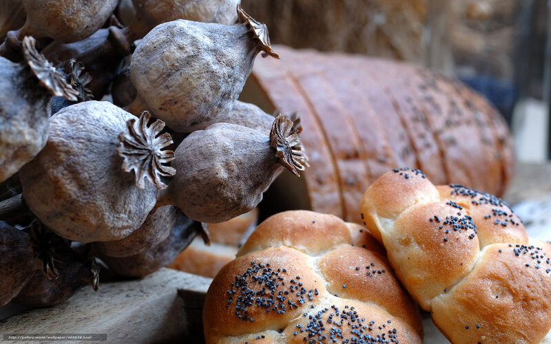 Poppy seed bread and dried poppy heads