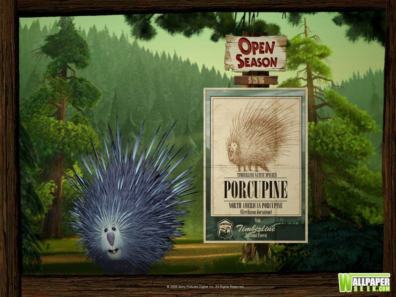 Porcupine in Forest — Green
