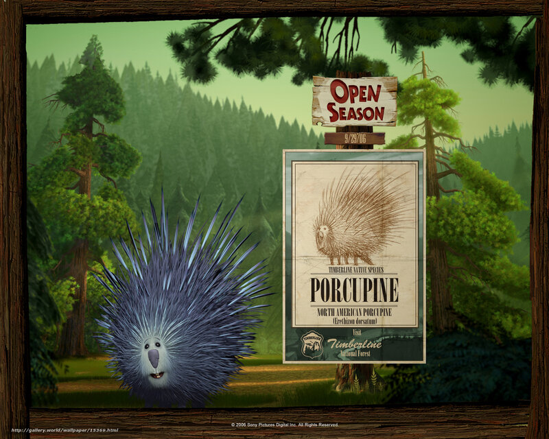 Porcupine in the forest