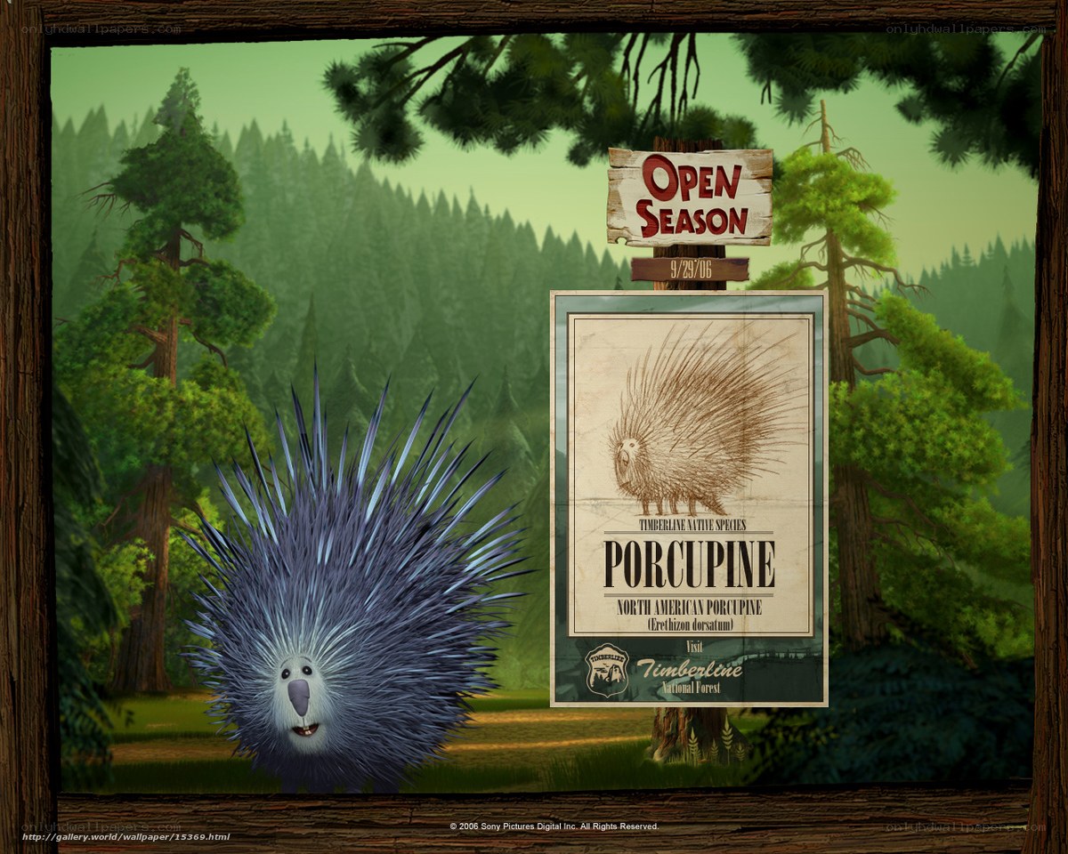 Porcupine in the forest