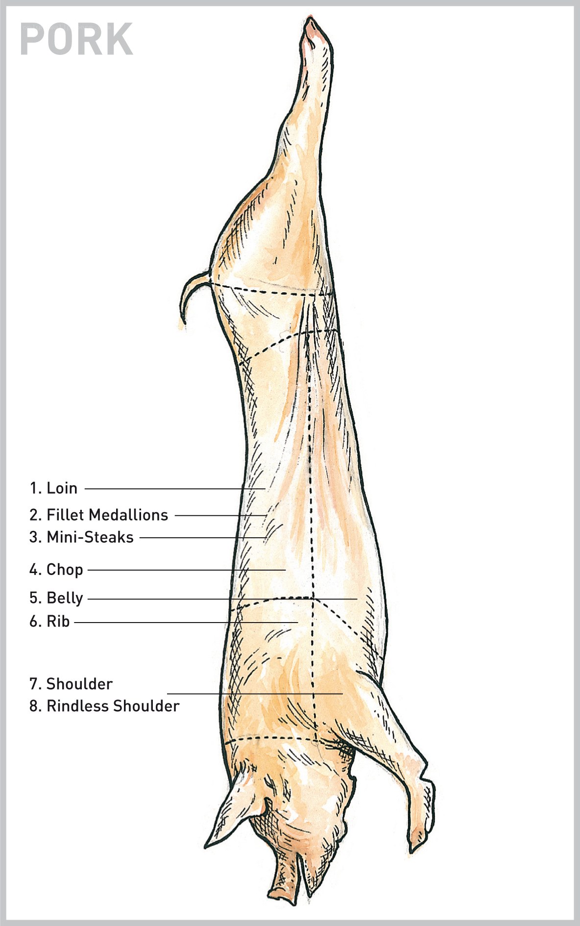 Pork Butchering Diagram