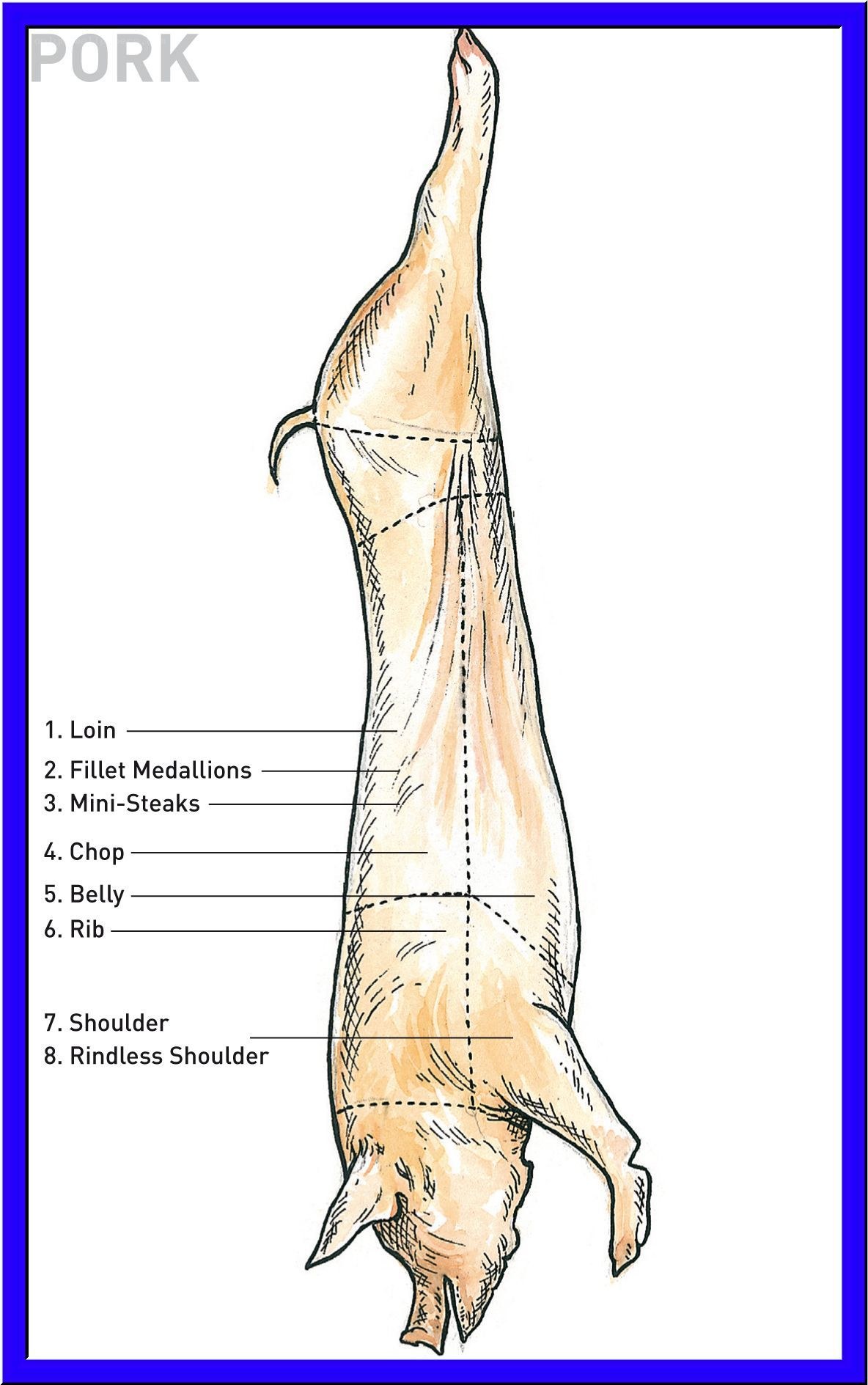 Pork Butchering Diagram