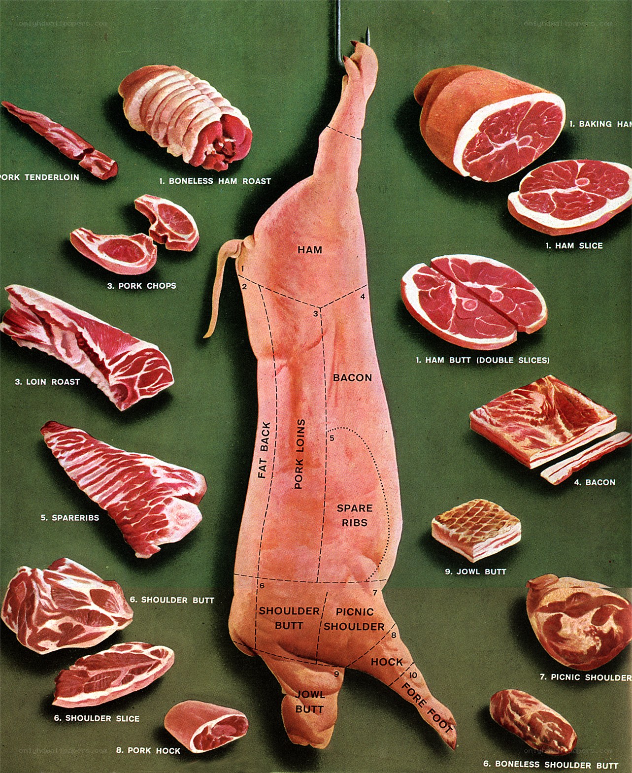 Pork Butchering Diagram