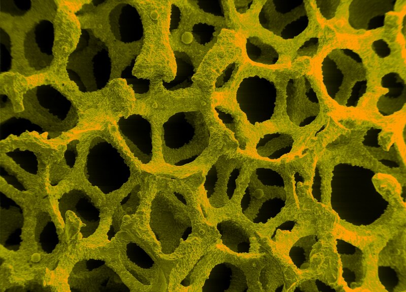 Porous Material Structure
