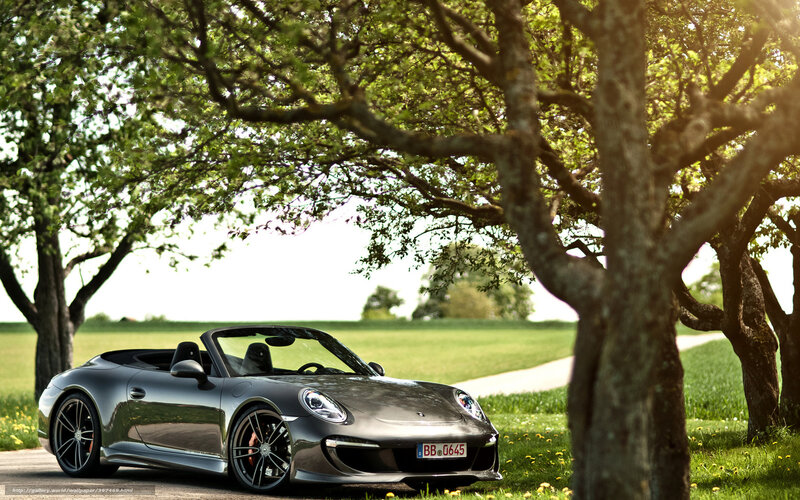 Porsche 911 Cabriolet in a park