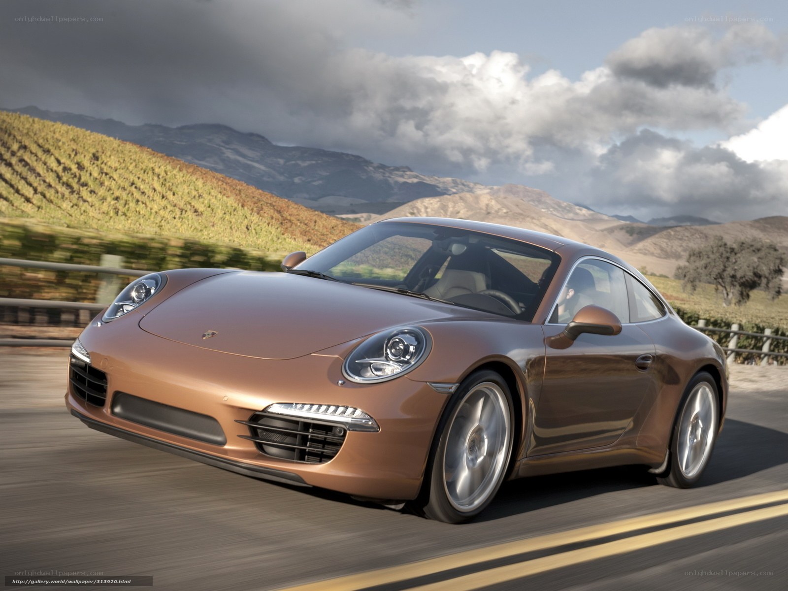Porsche 911 in motion
