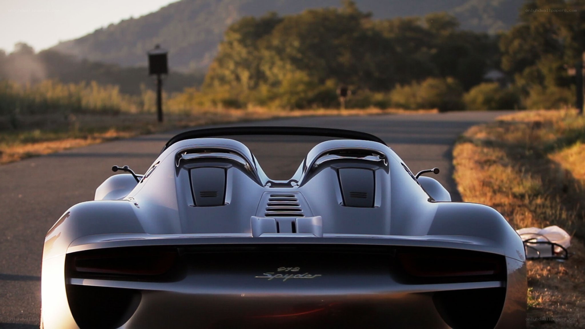 Porsche 918 Spyder rear view