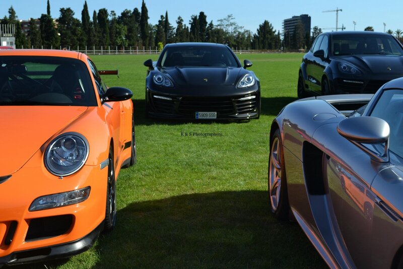 Porsche cars on a grass field