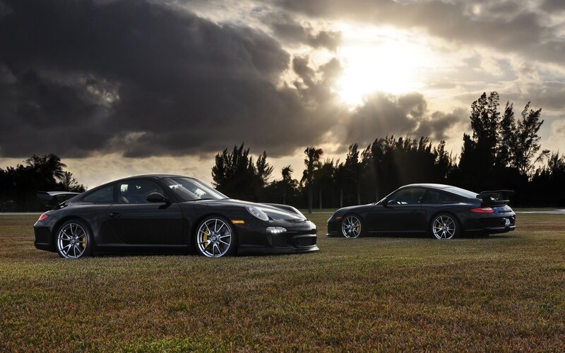 Porsche cars on grass at sunset