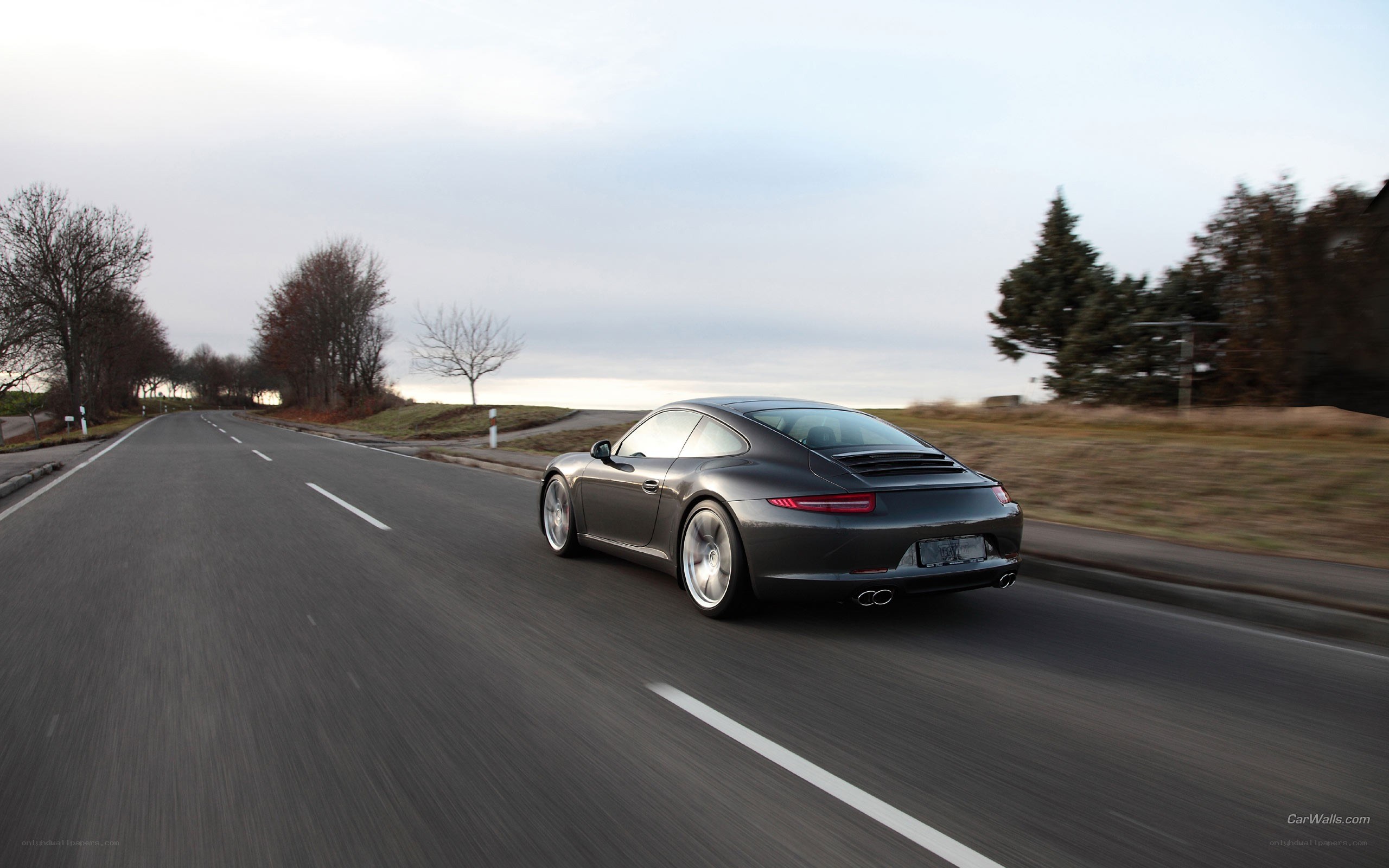 Porsche driving on a road