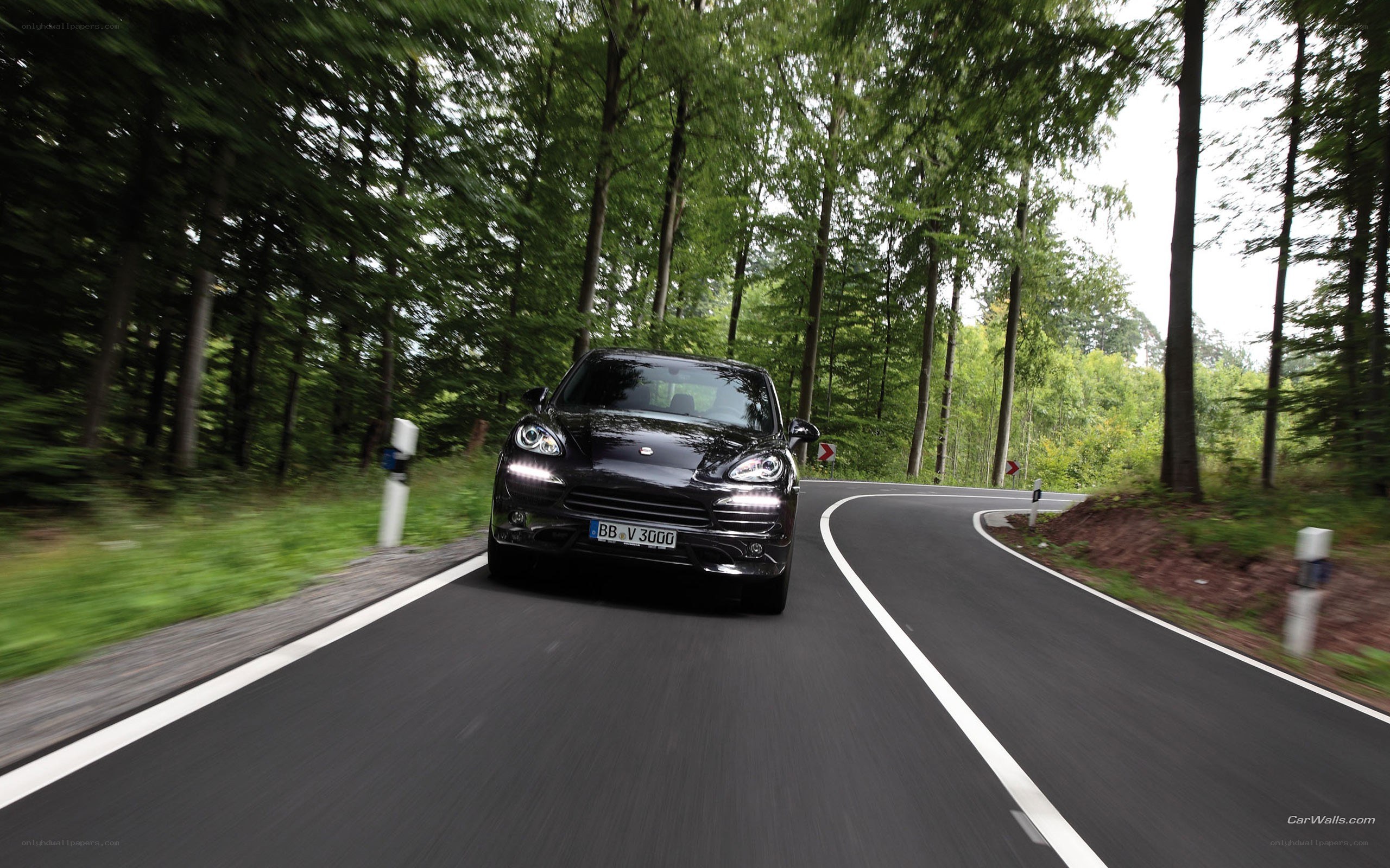 Porsche driving on forest road