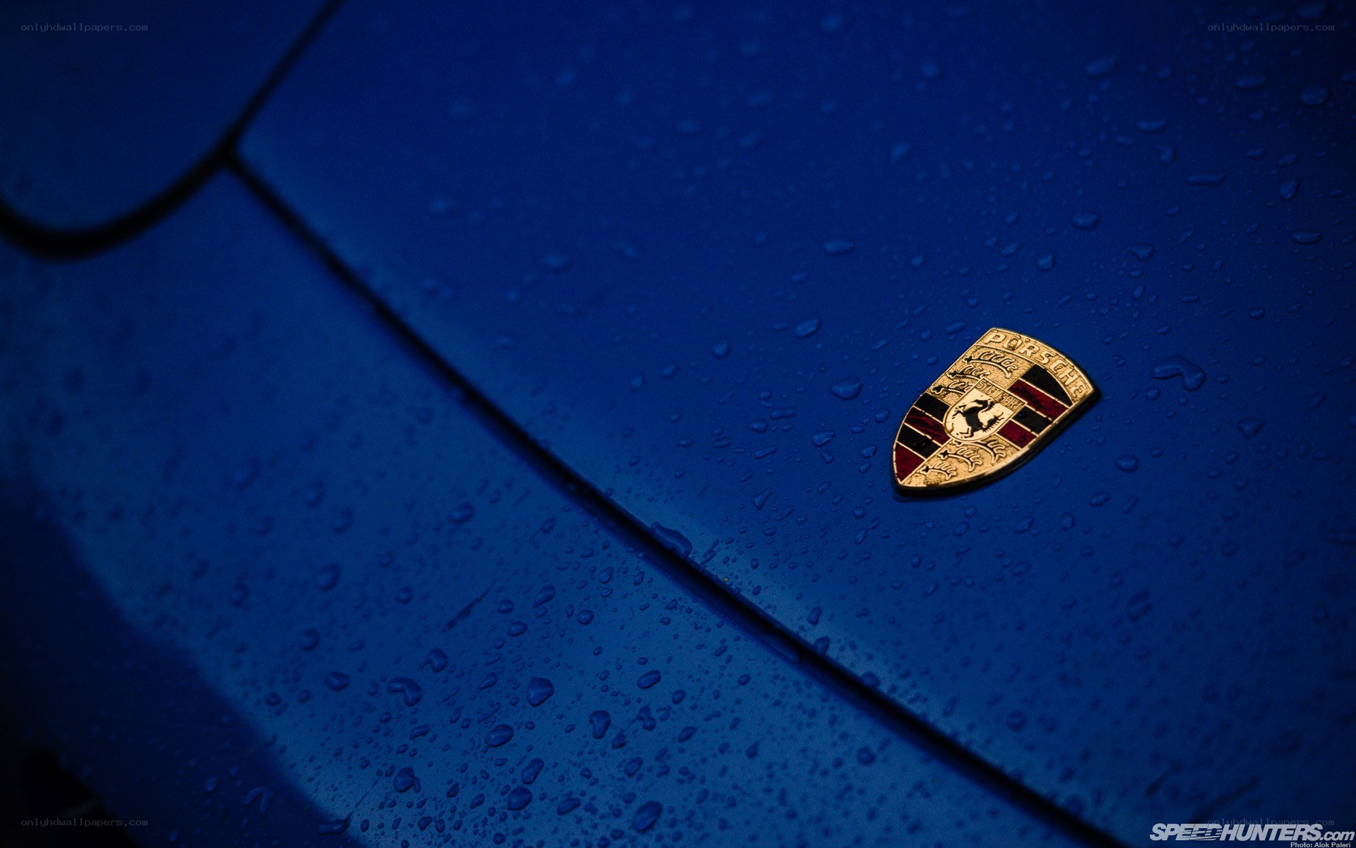 Porsche emblem on blue car