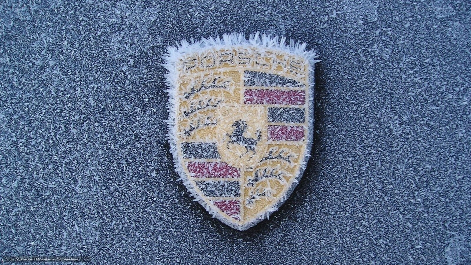 Porsche emblem on frosty surface