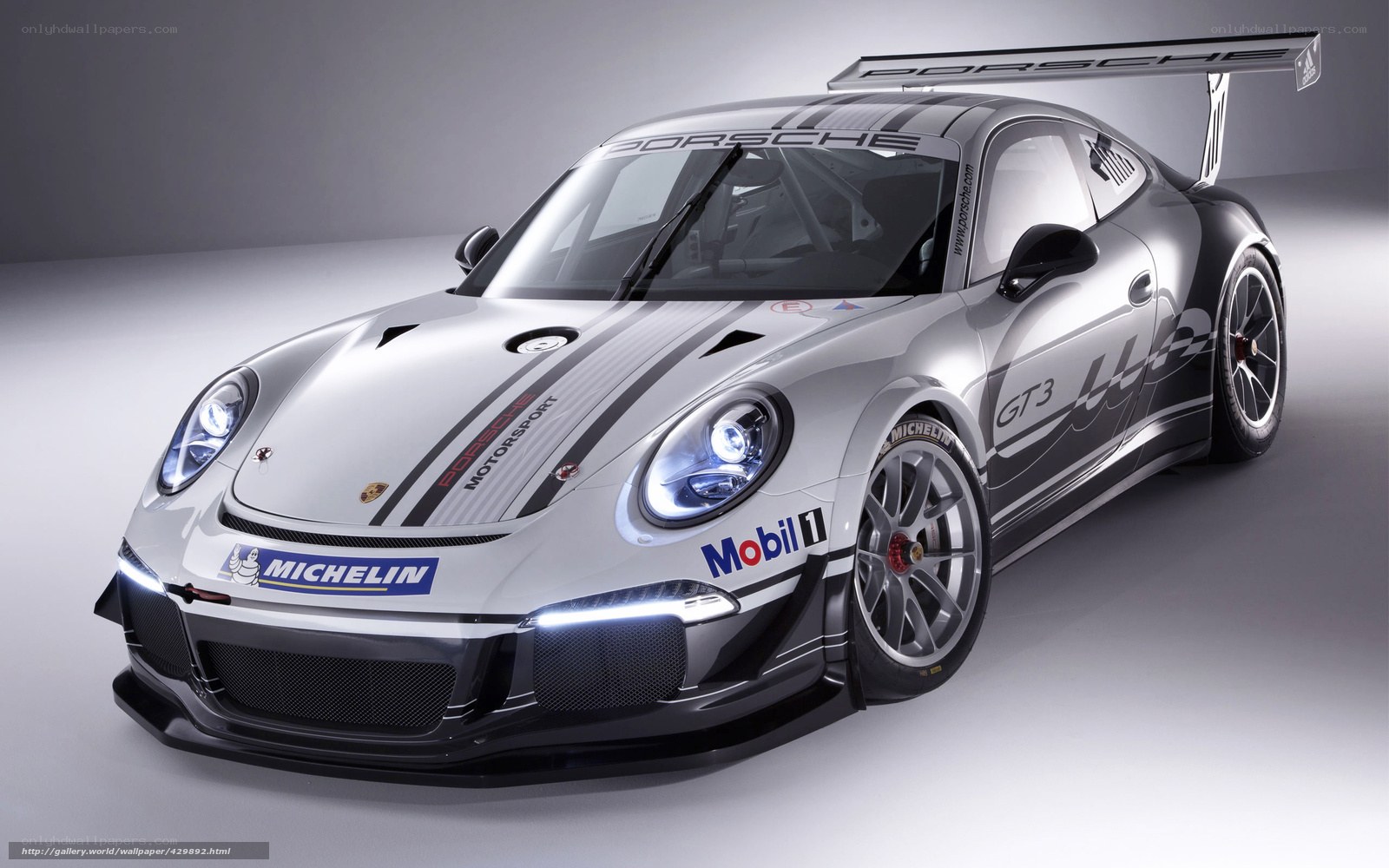 Porsche GT3 race car