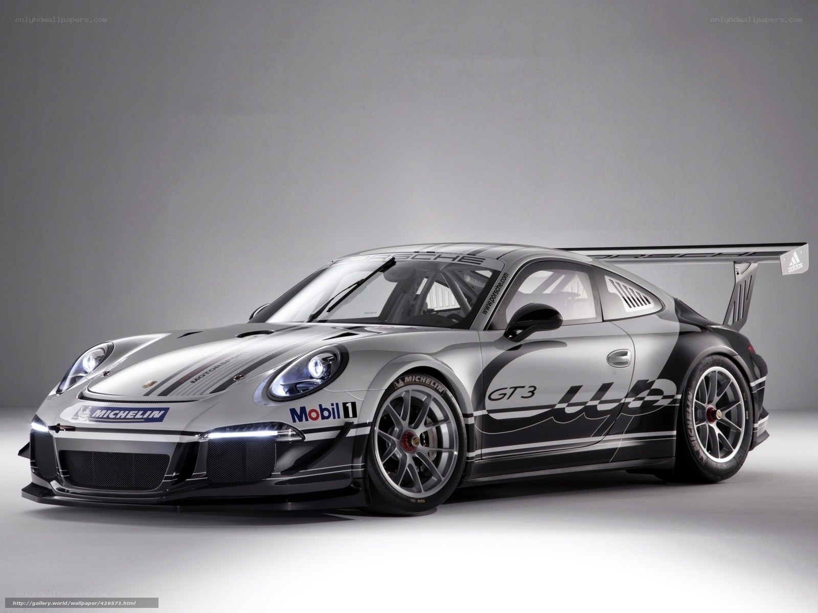Porsche GT3 race car