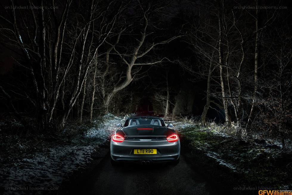 Porsche in snowy forest