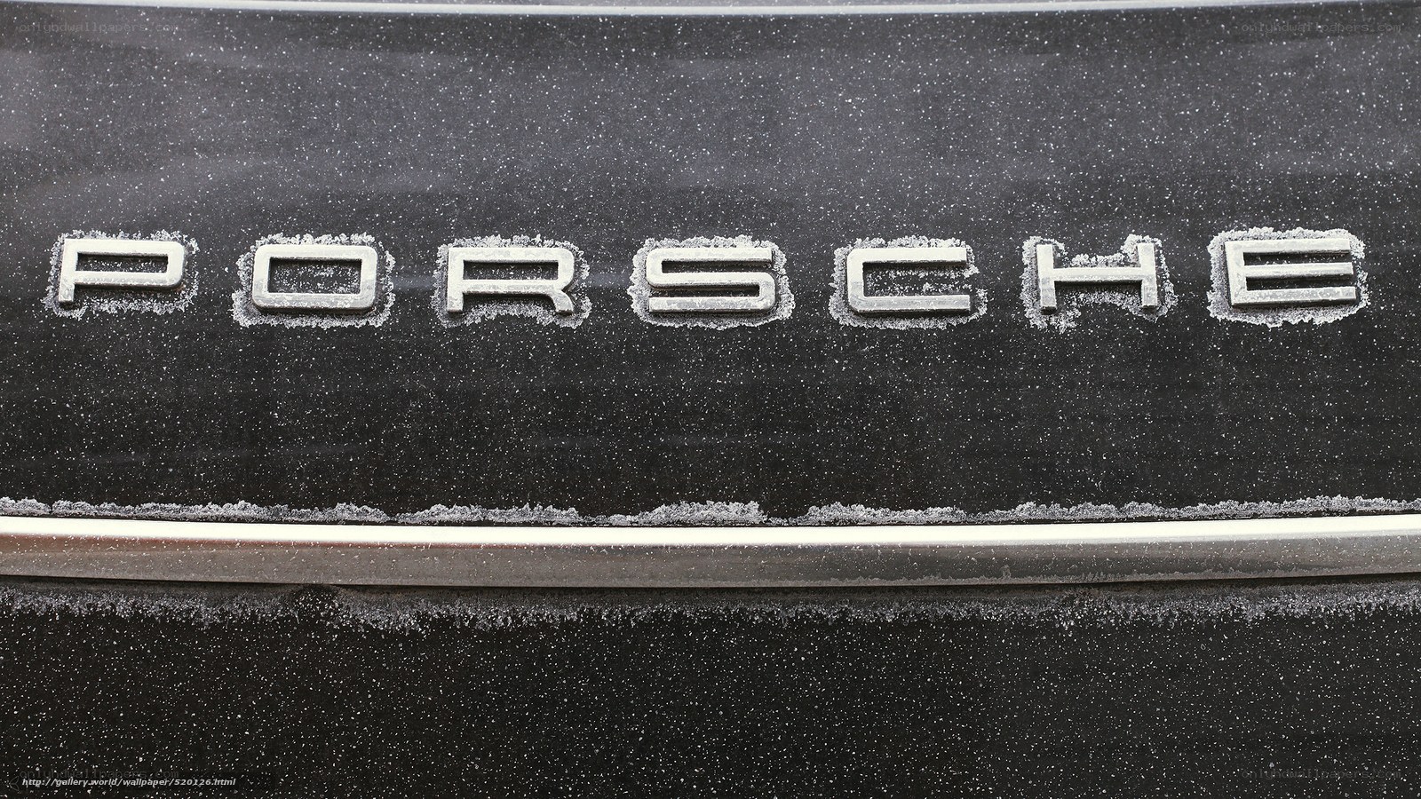 Porsche logo in frost