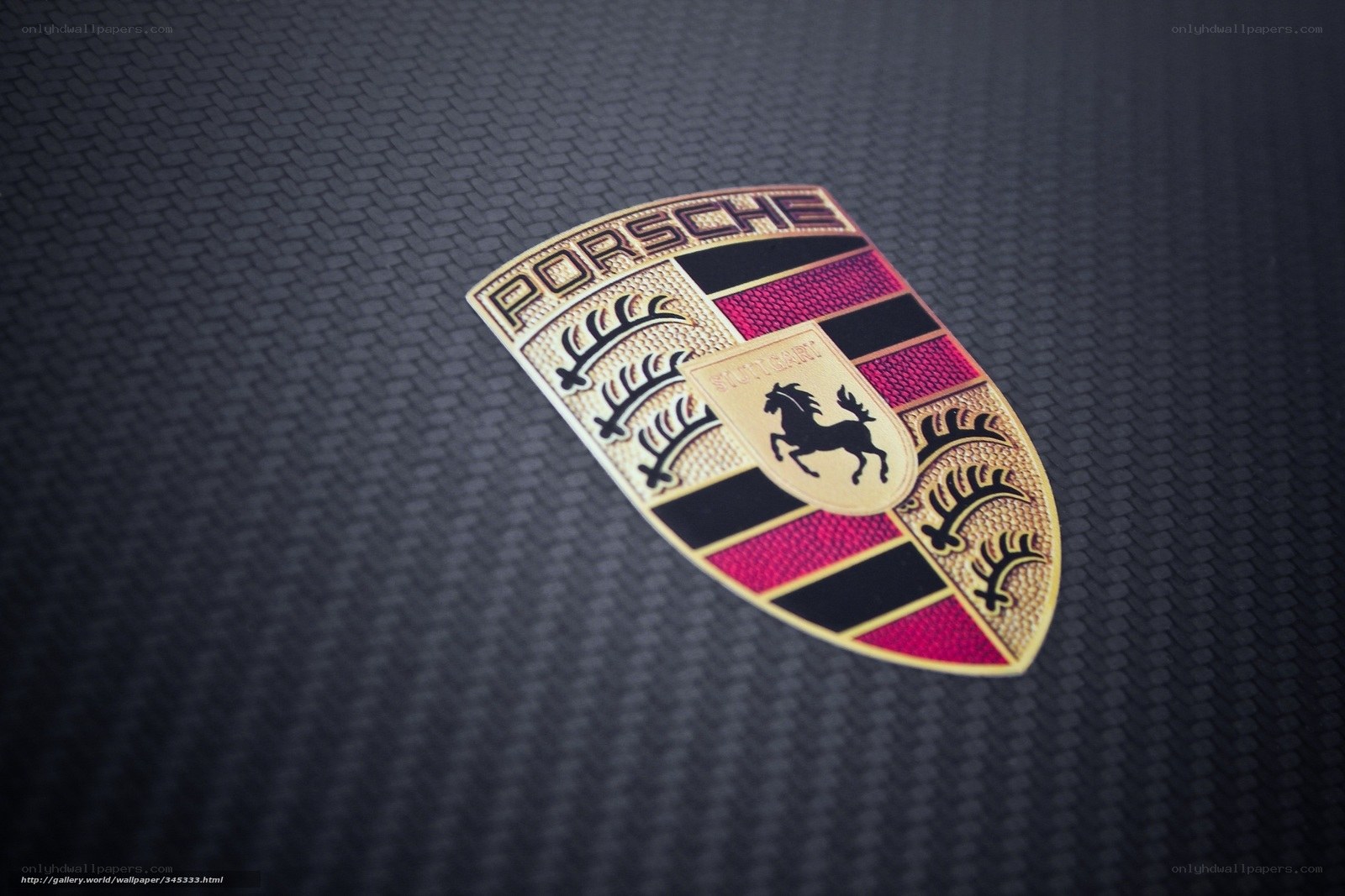 Porsche logo on carbon fiber