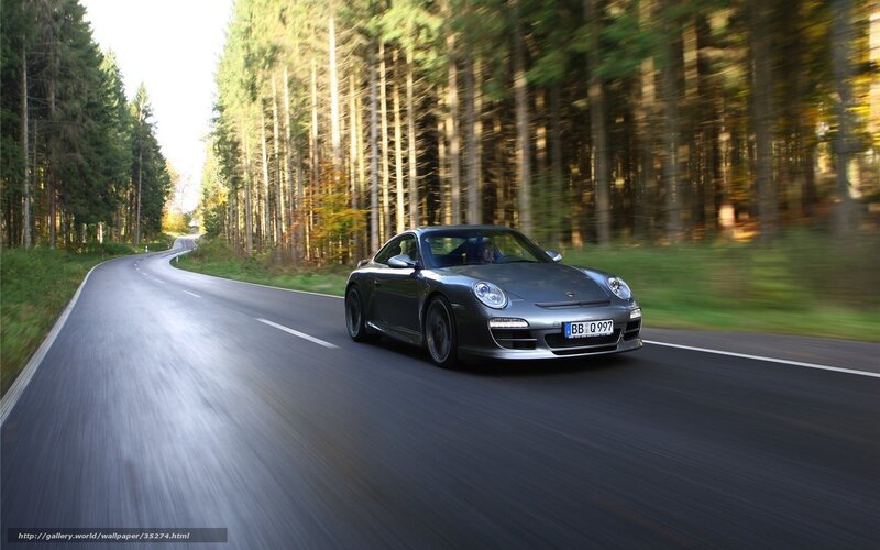 Porsche on forest road