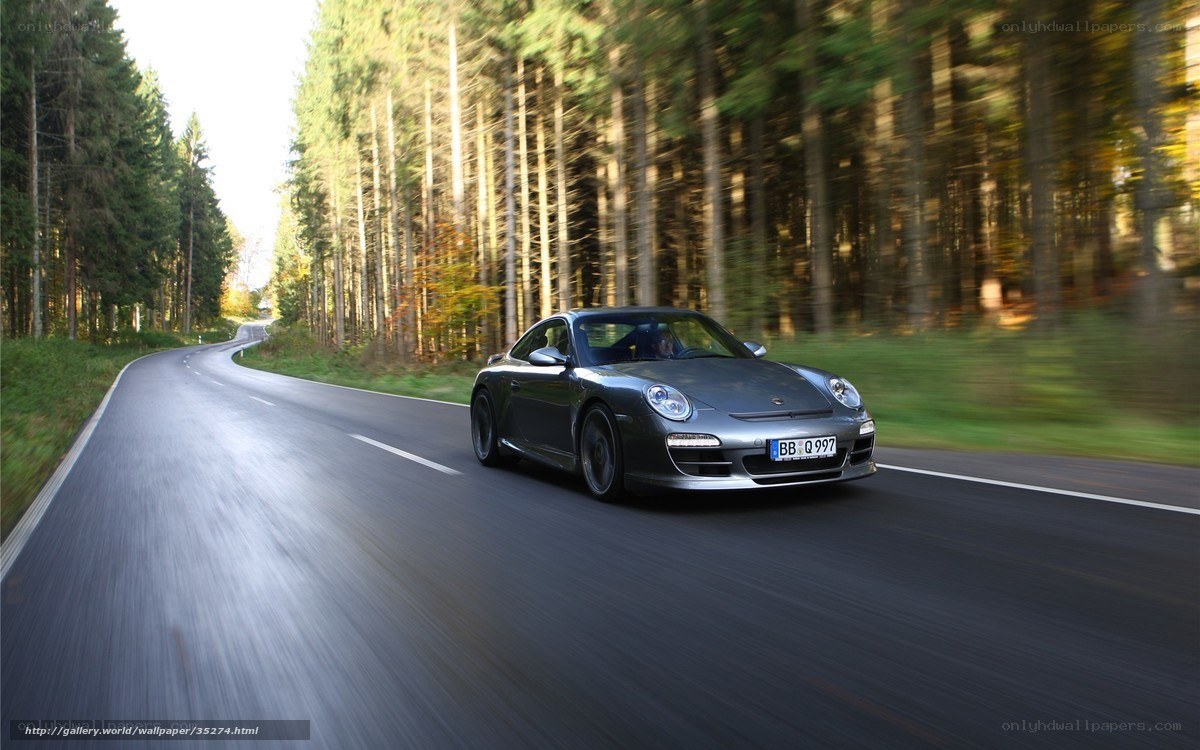 Porsche on forest road