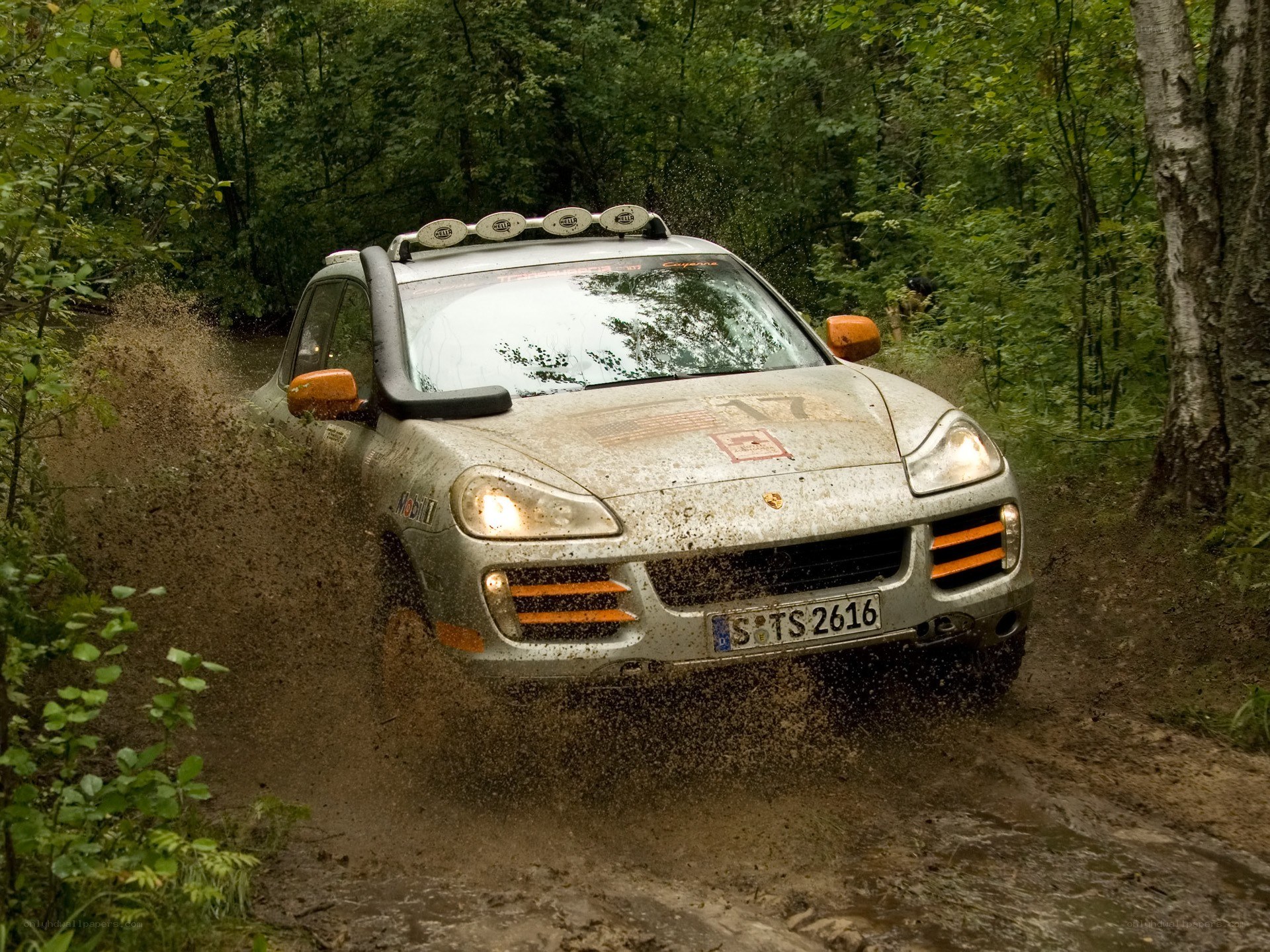 Porsche rally car in forest