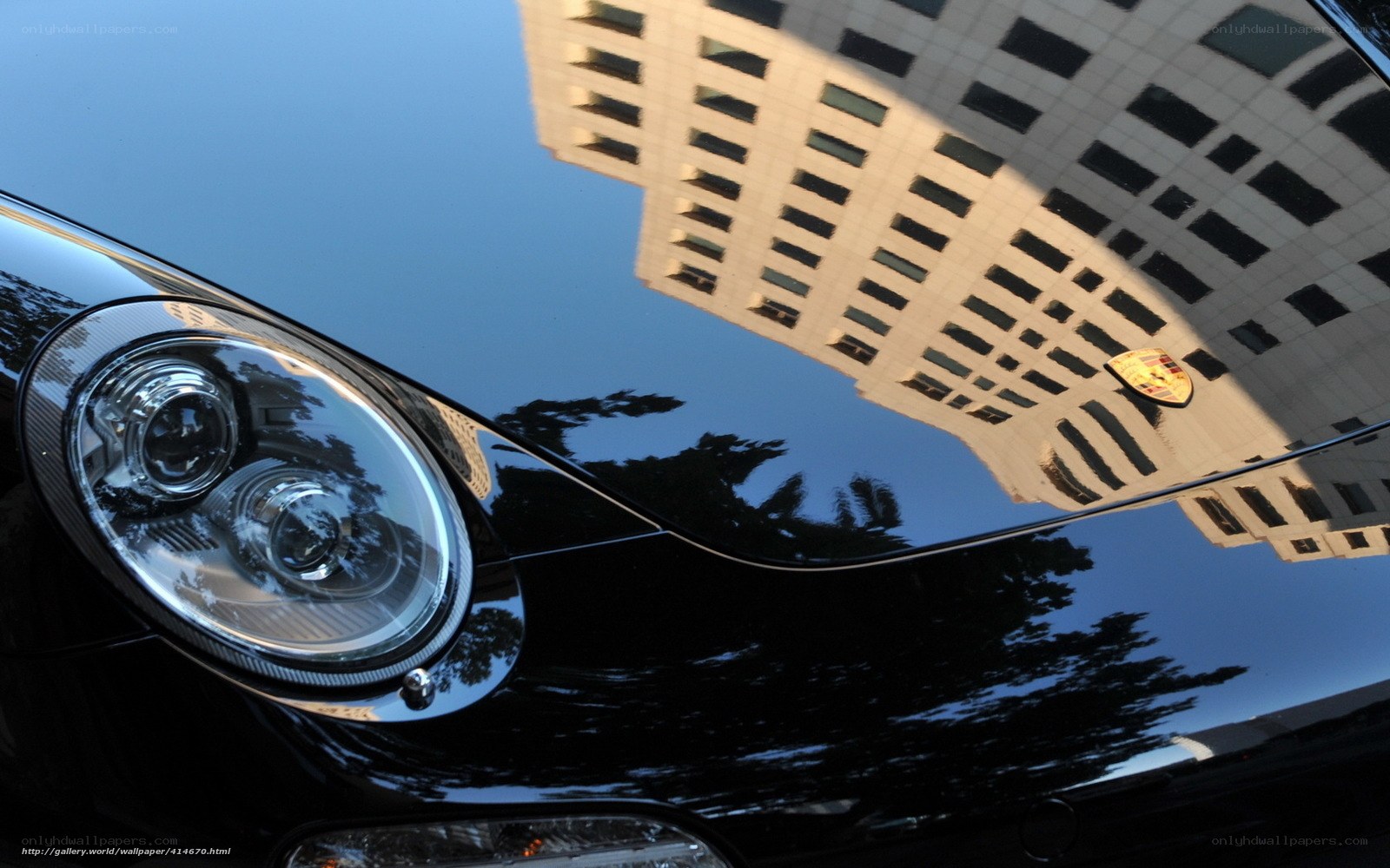 Porsche reflection on car hood