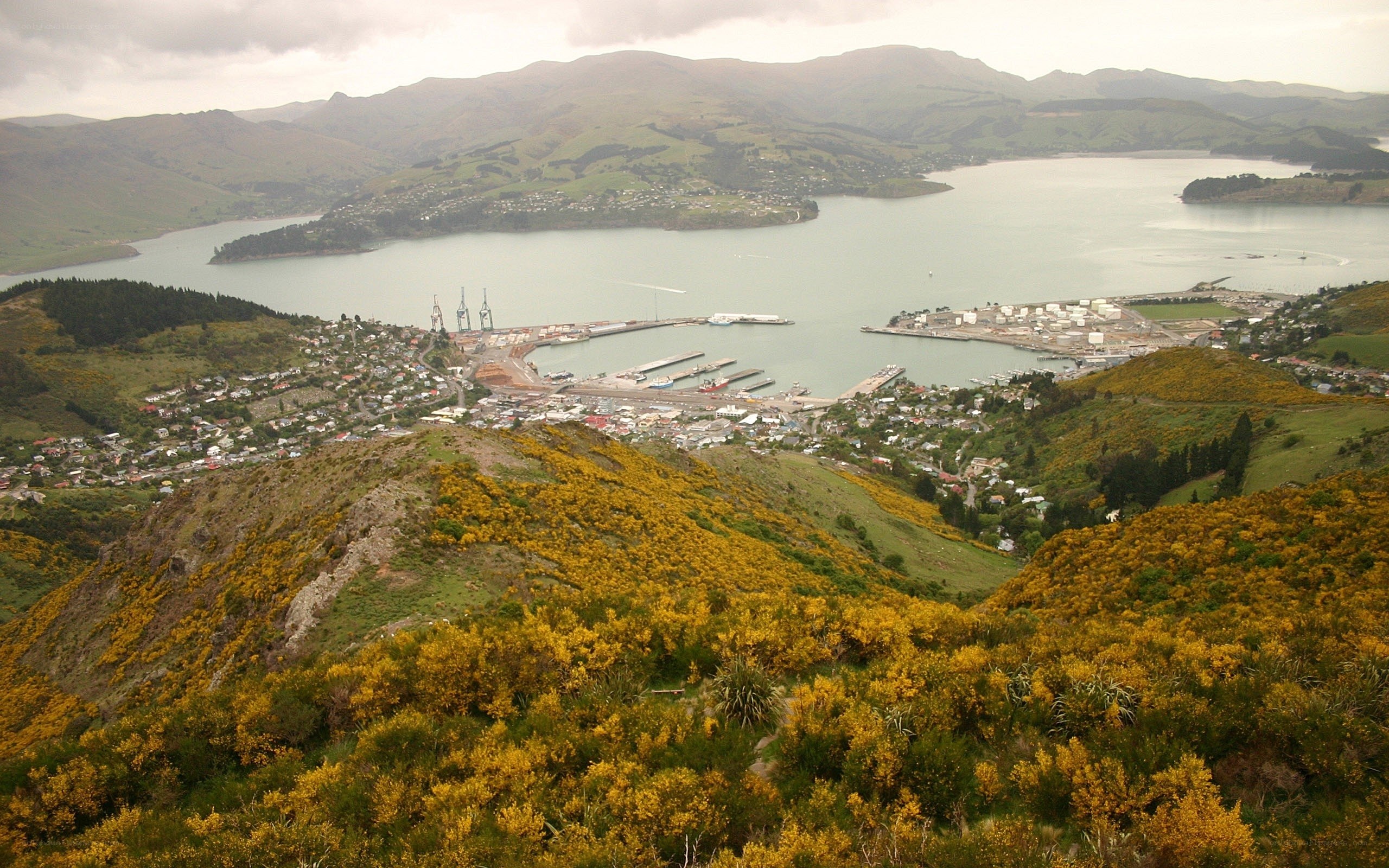 Port of Lyttelton from a hill