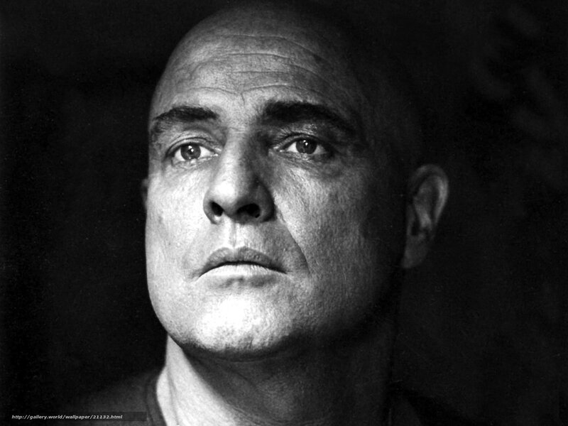 Portrait of a bald man