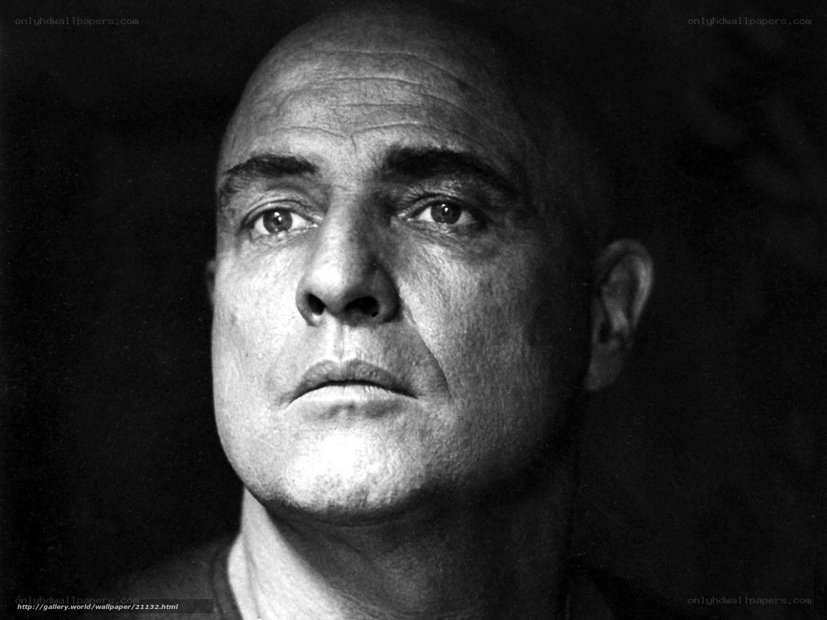 Portrait of a bald man