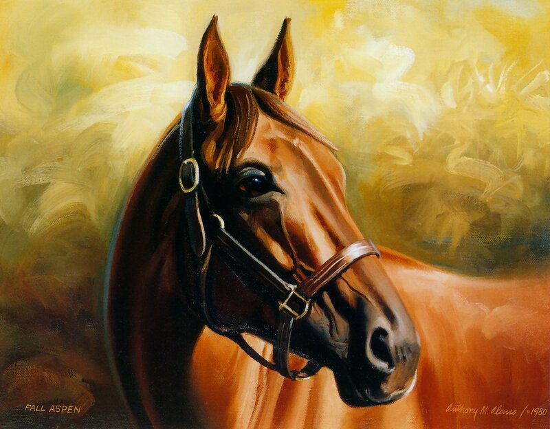 Portrait of a horse
