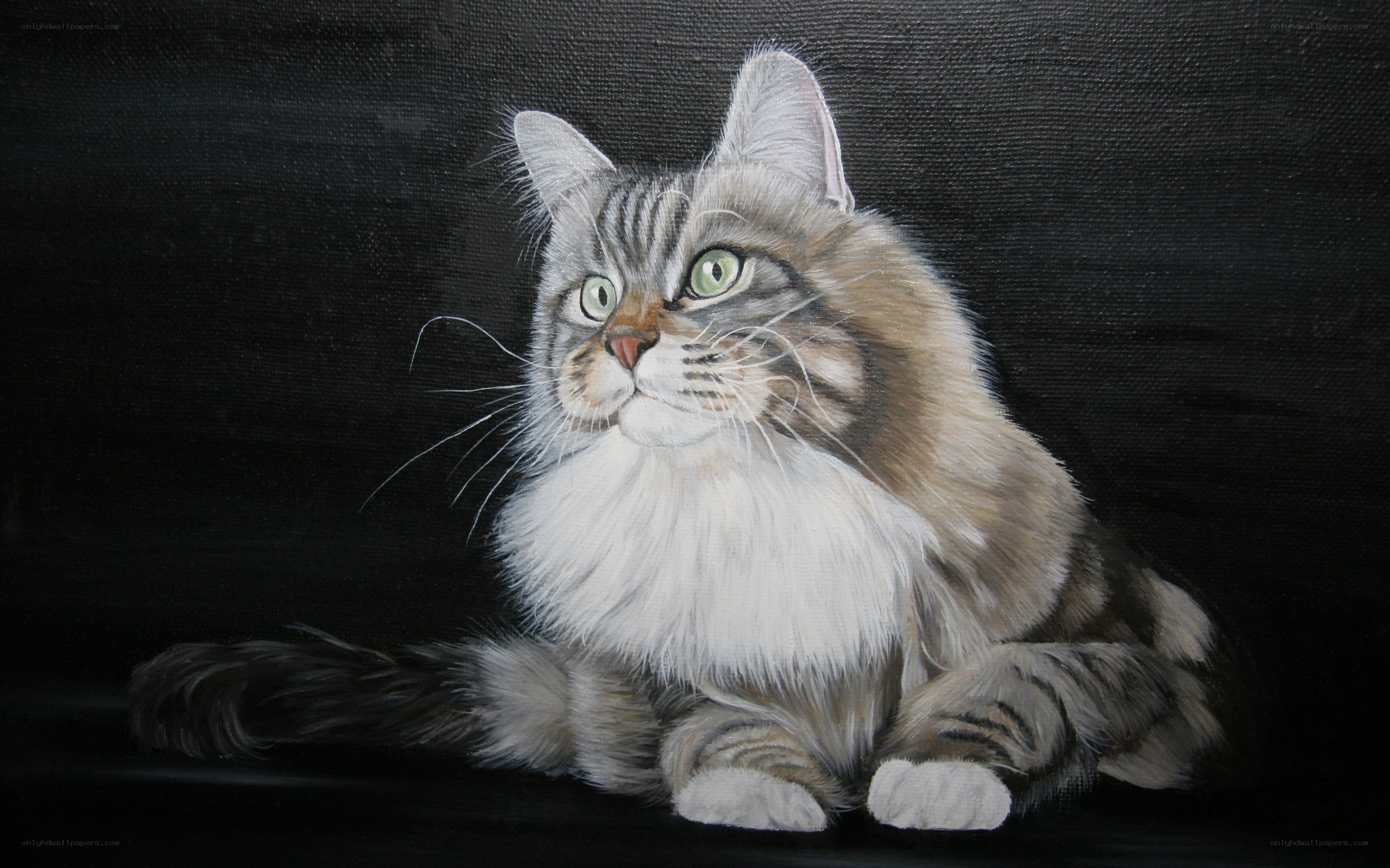 portrait of a long-haired cat