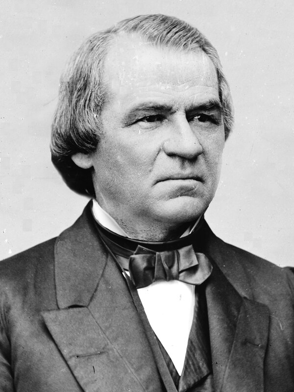 Portrait of a man in formal wear