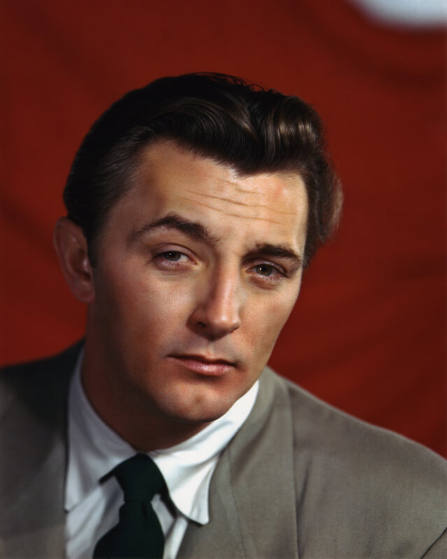 Portrait of a man in suit
