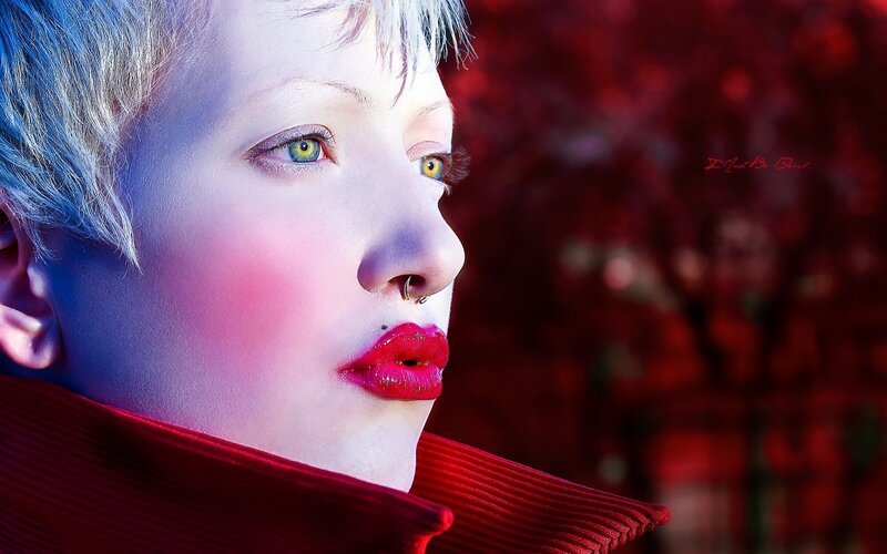 portrait of a person with short hair