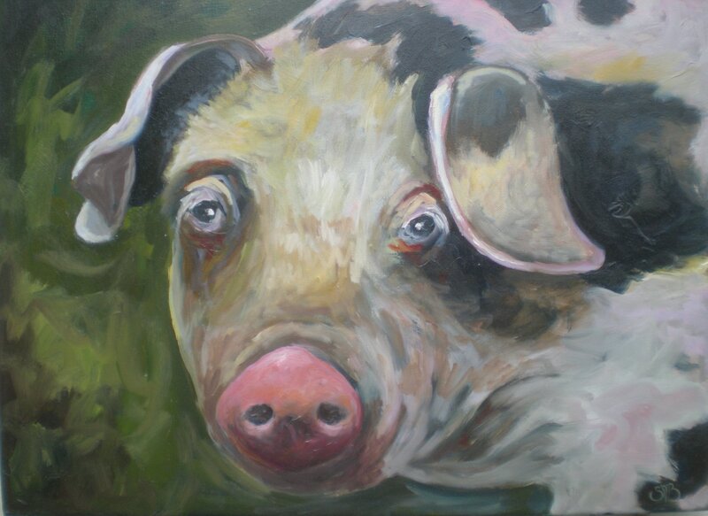 portrait of a pig