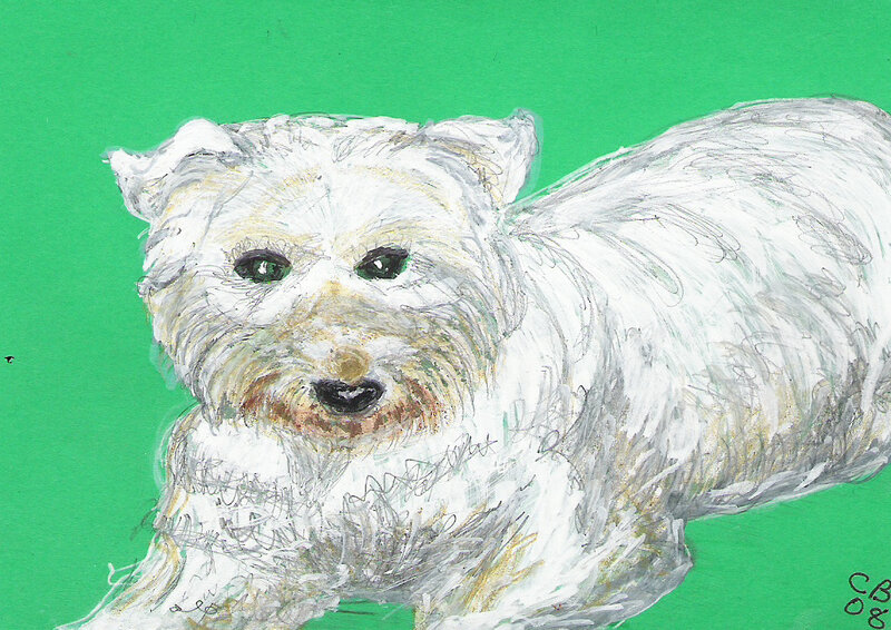 portrait of a white dog