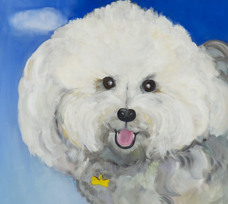 portrait of a white dog