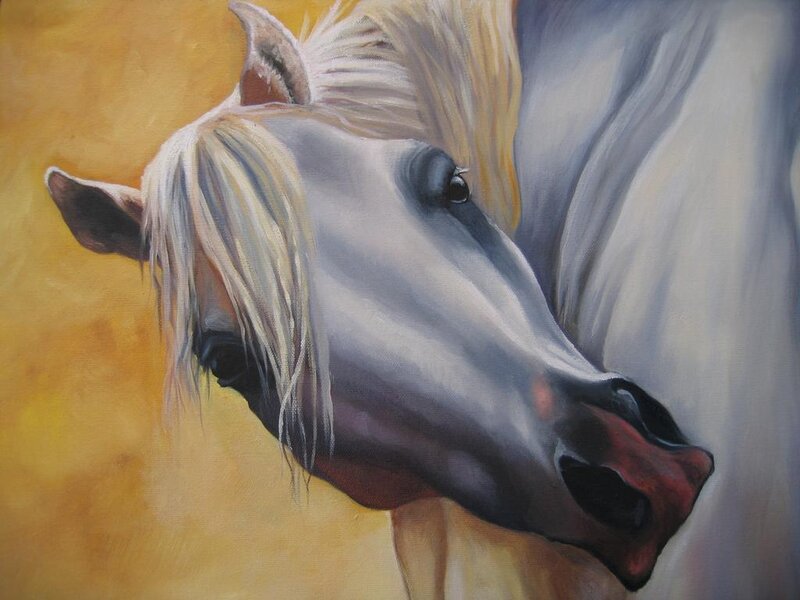 portrait of a white horse