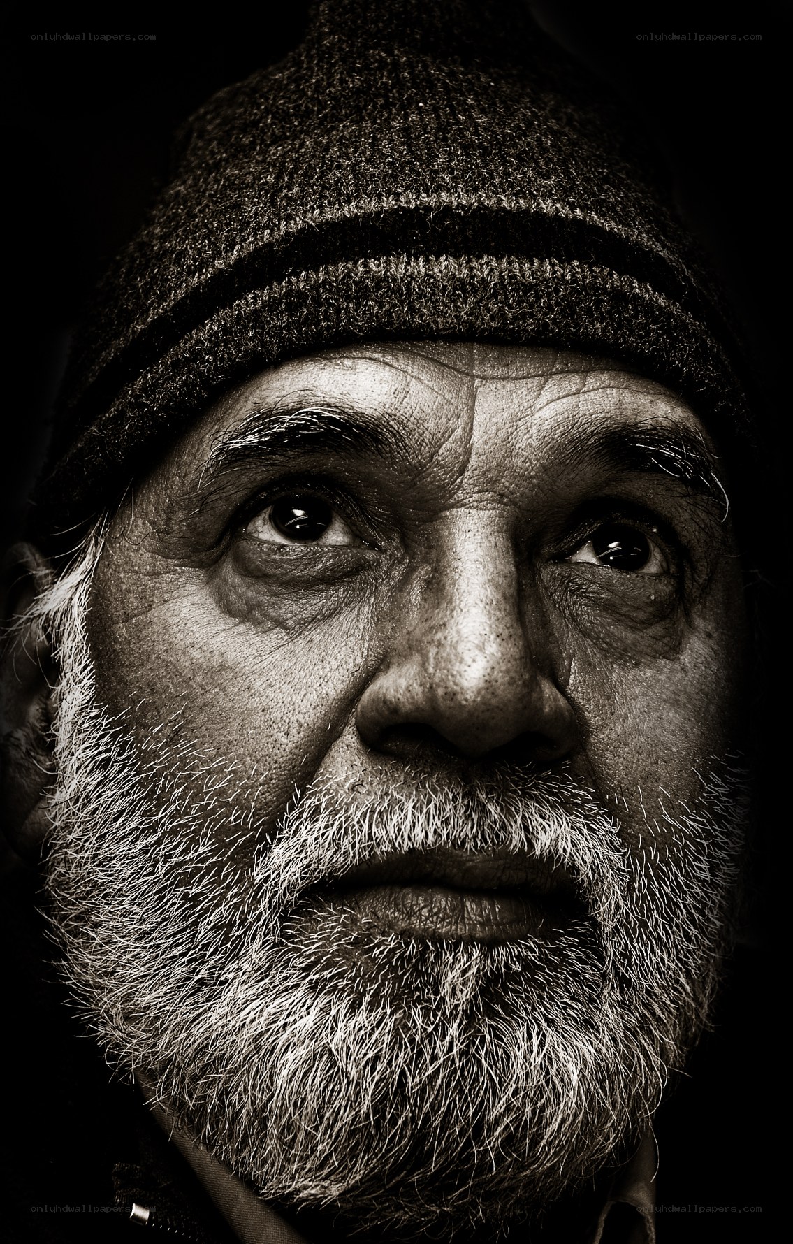 portrait of an elderly man
