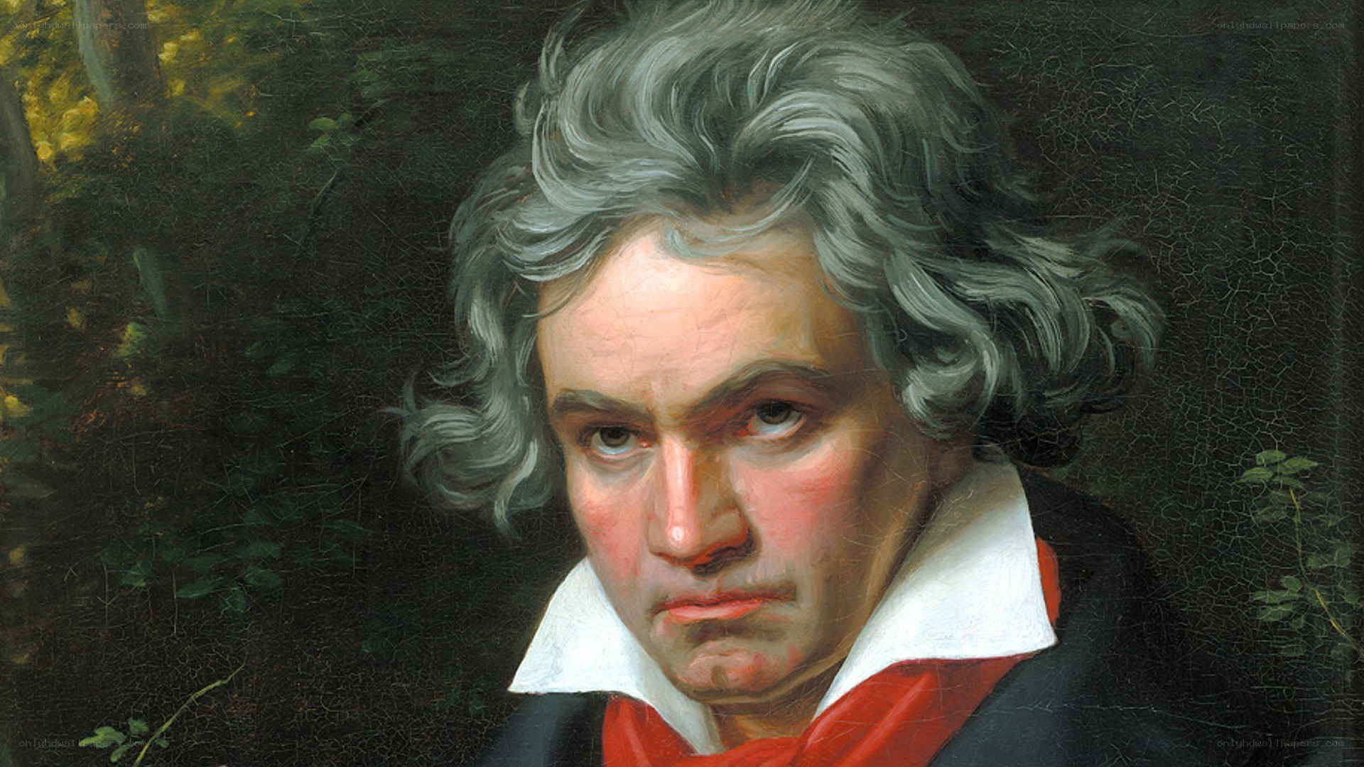 Portrait of Beethoven