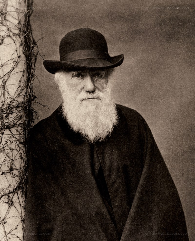 Portrait of Charles Darwin