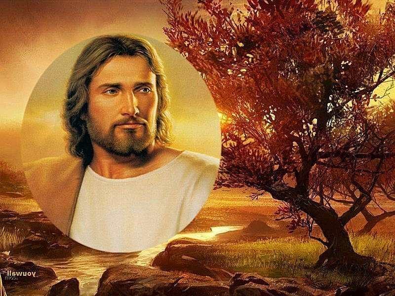Portrait of Jesus Christ — Orange